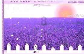 南山区环形树屋青年之家：跑进青春，跑出活力